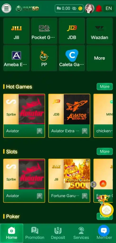 PAK5D Game APK