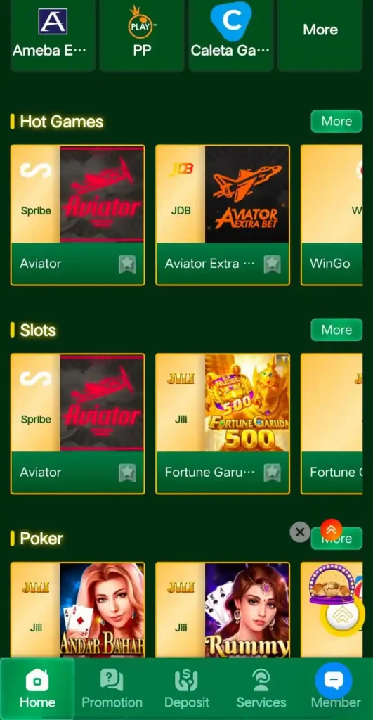 PAK5D Game App