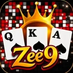 Zee9 Game
